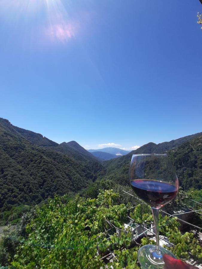 B&B La Locanda Del Cinghiale Aurano Exteriör bild