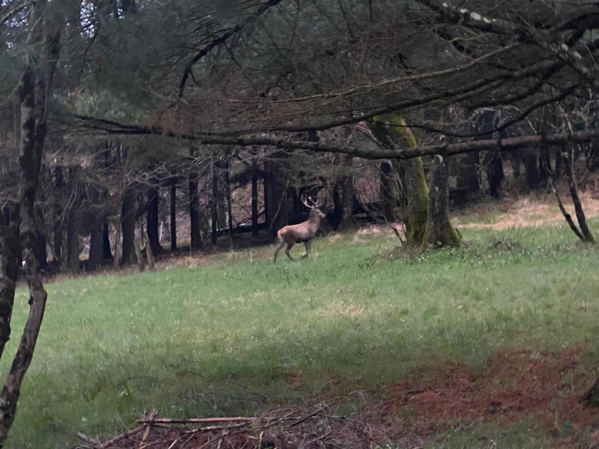 B&B La Locanda Del Cinghiale Aurano Exteriör bild