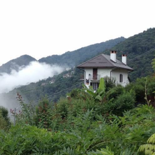B&B La Locanda Del Cinghiale Aurano Exteriör bild